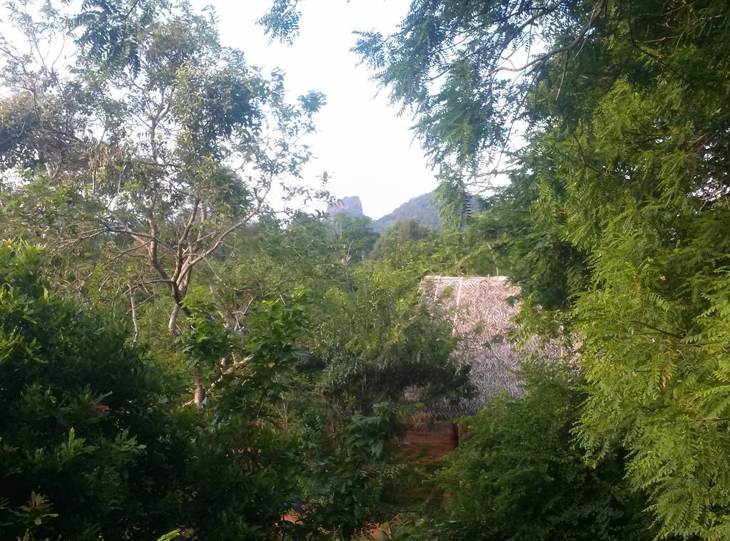 Kuwera Eco Lodge Sigiriya Luaran gambar