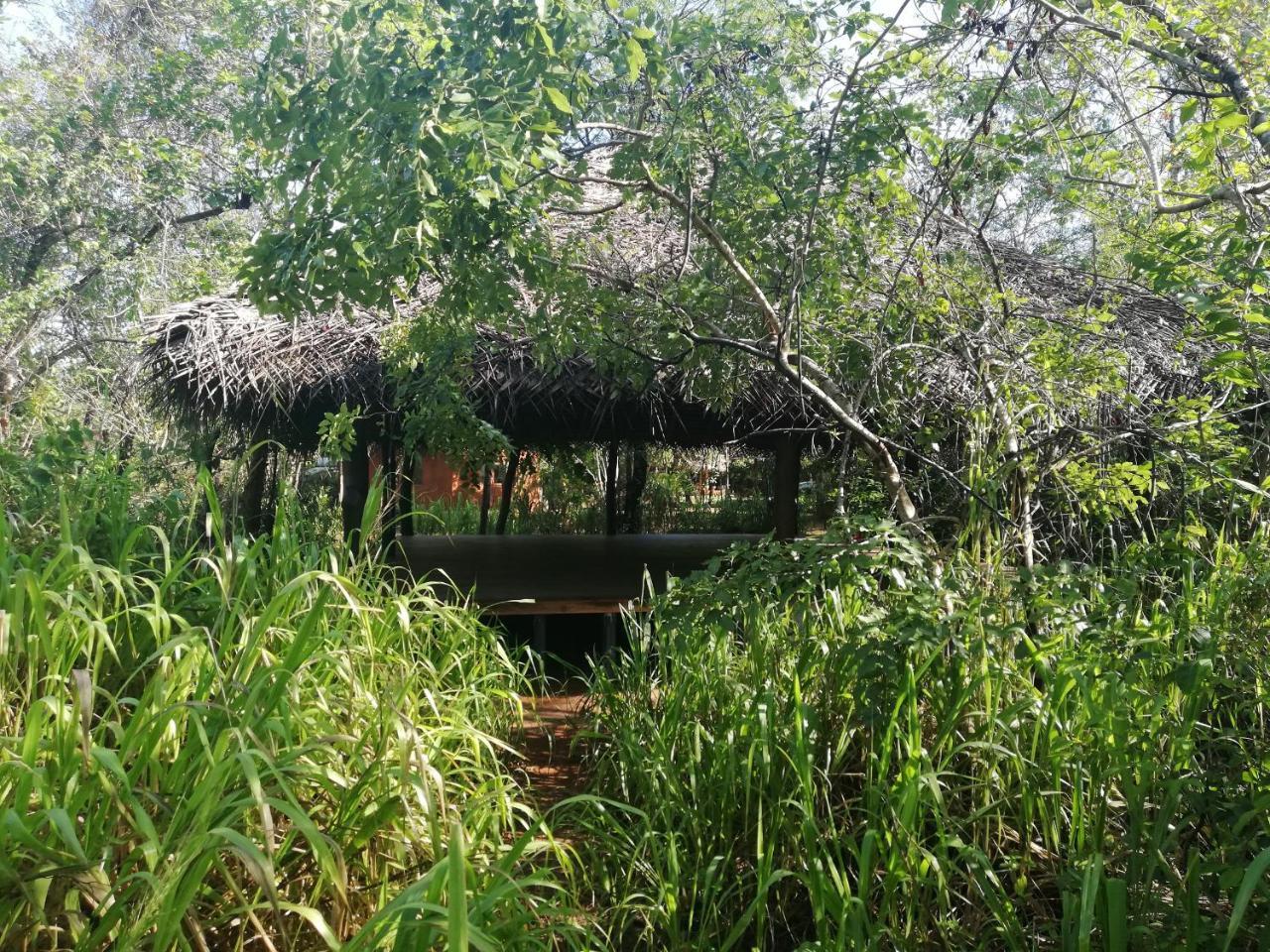 Kuwera Eco Lodge Sigiriya Luaran gambar